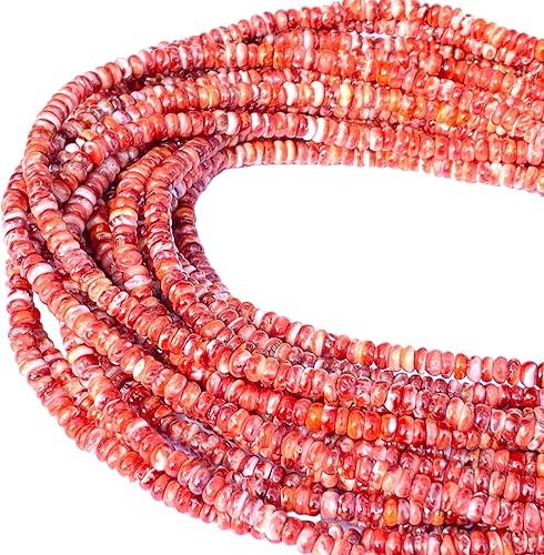 ABCGEMS - Cuentas de concha de ostra espinosa roja del Golfo de California, entre Baja California y México continental (los bordes redondeados