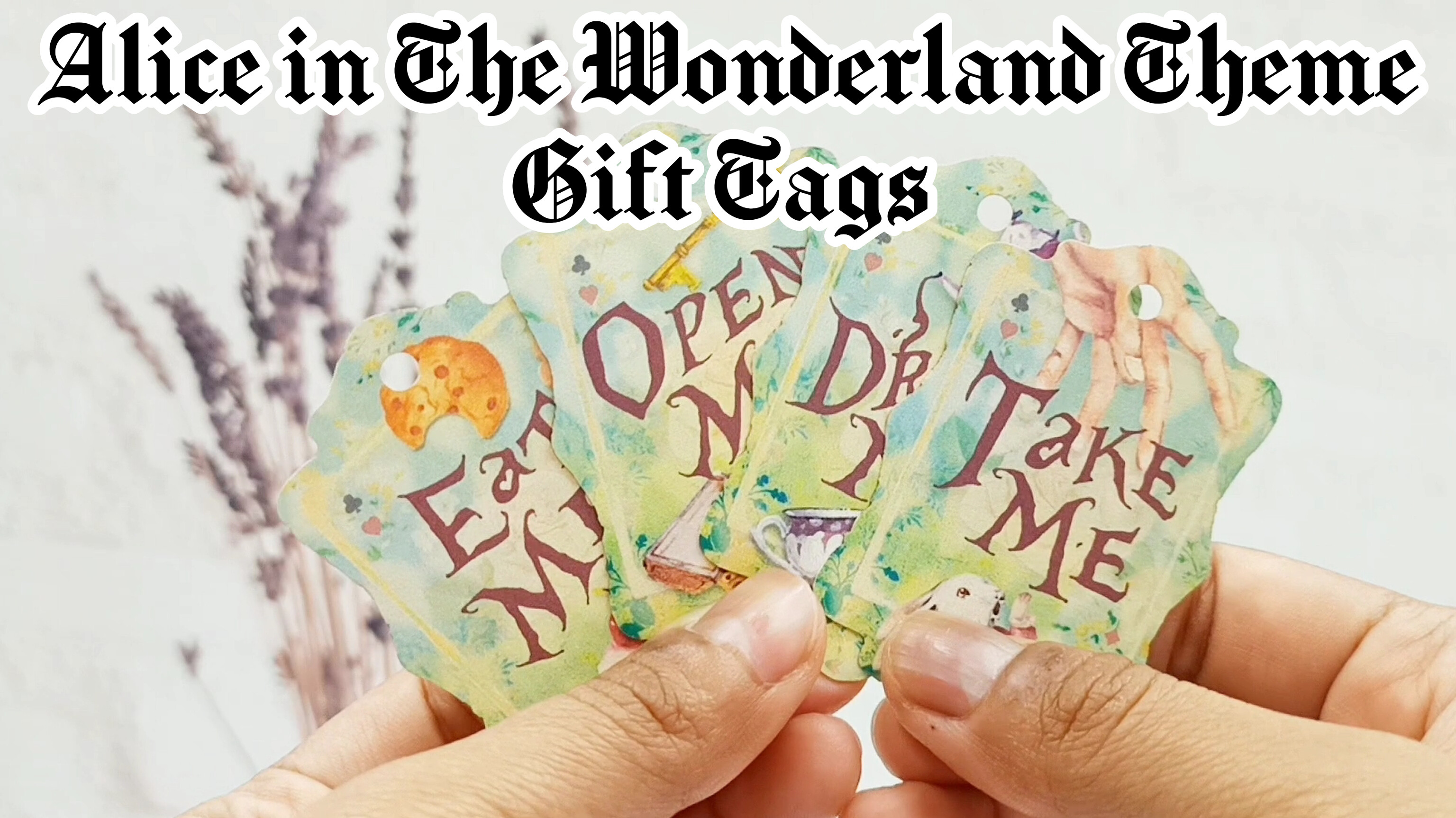 Amazon.com: Summer-Ray 50pcs Alice in The Wonderland Theme Gift