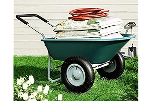 2-Wheel Carretillas with Pneumatic Tires