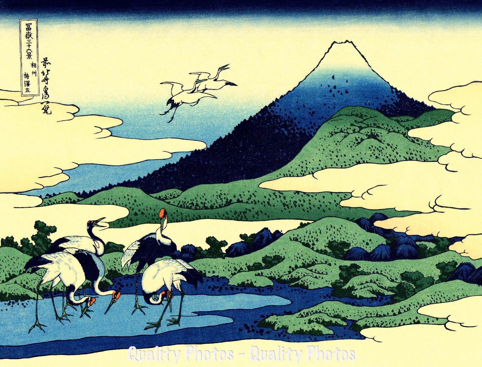 Amazon.com: Mt. Fuji with Cranes Feeding 8.5x11