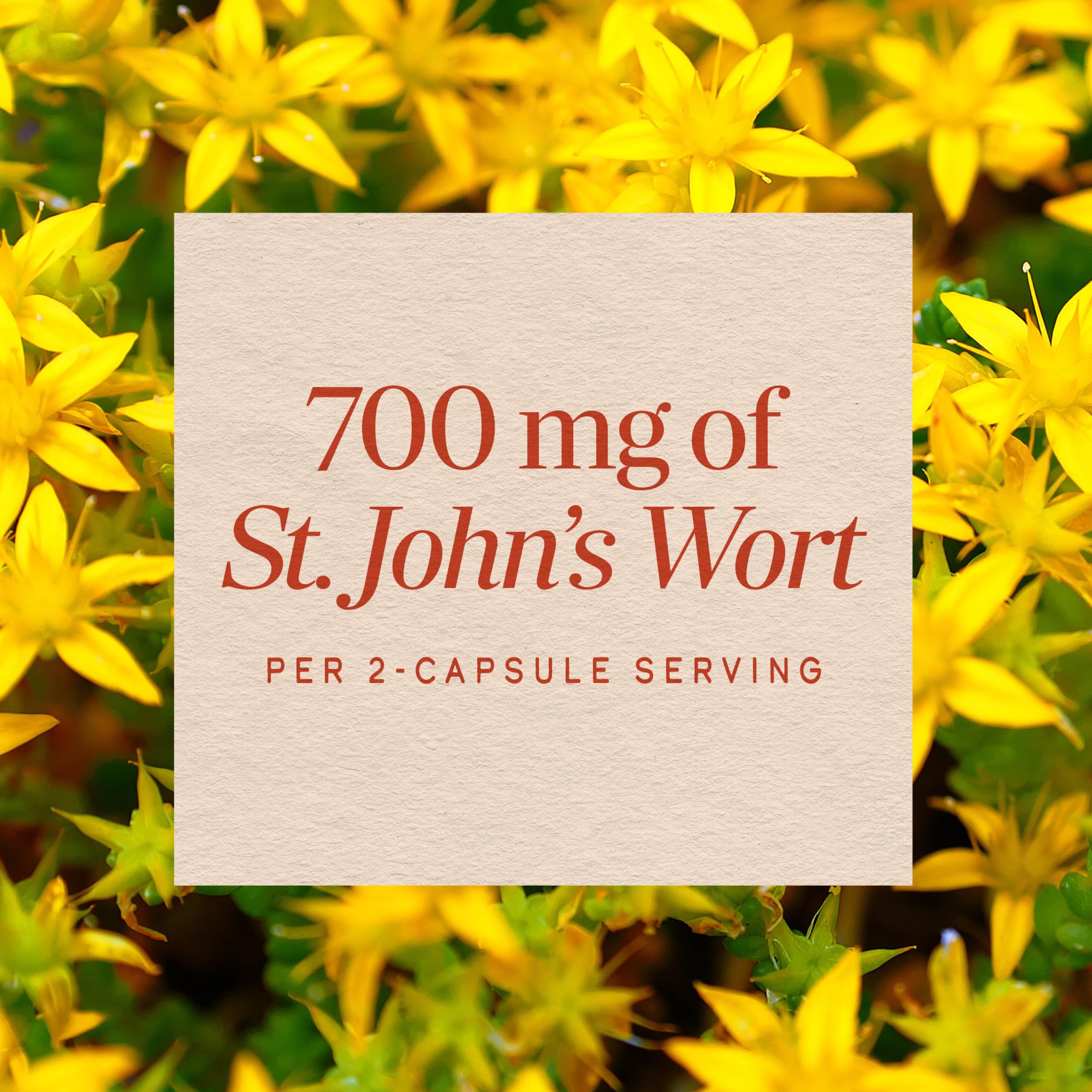 Amazon | 【Nature's Way】ストレスサポートサプリSt. John's Wortセン