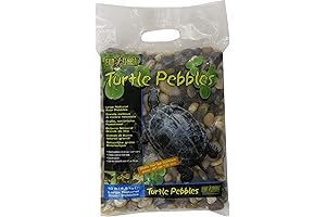 Exo Terra Turtle Pebbles: Perfect for Tank Decoration and Healthy Digestion