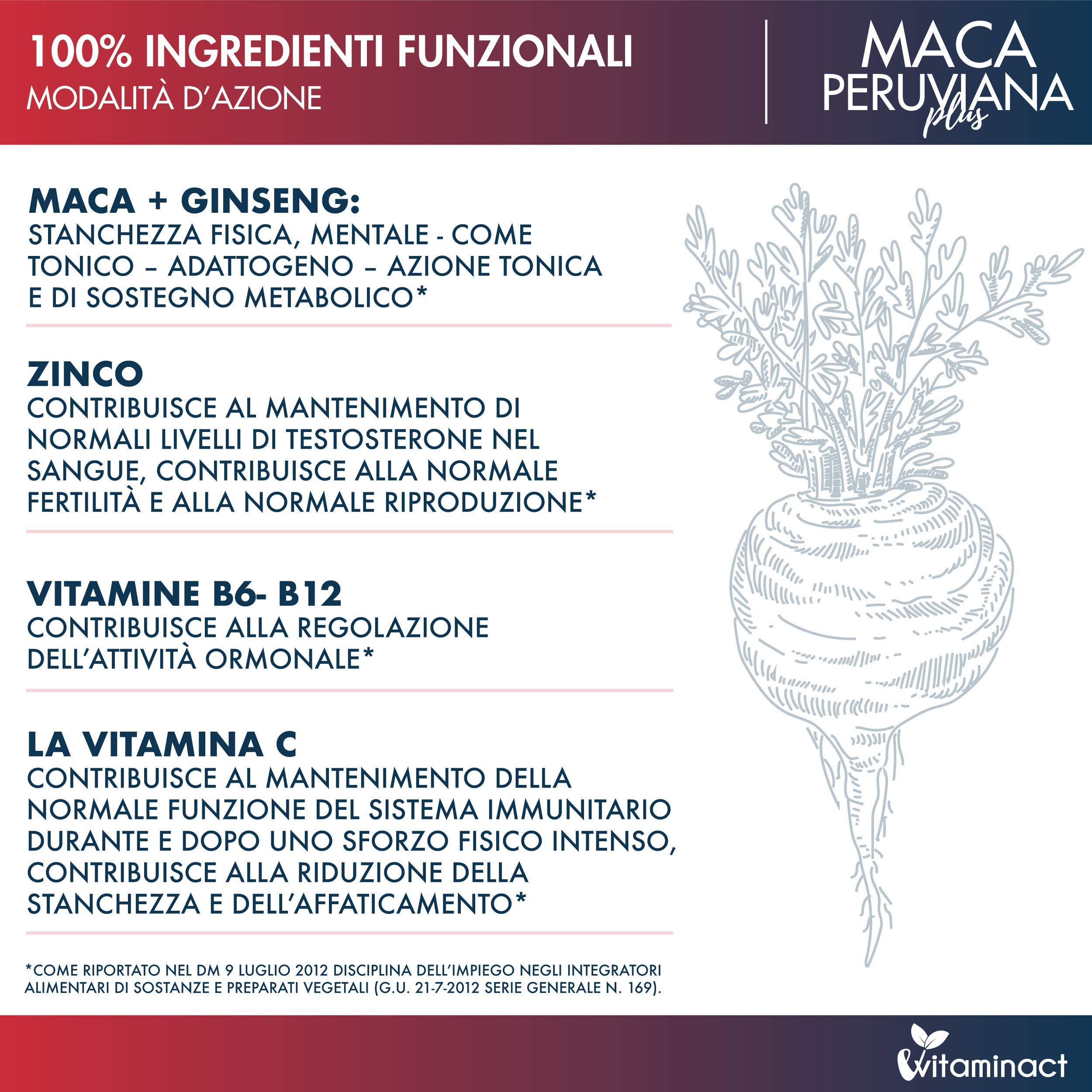 Maca Peruviana Plus XXL Altissimo Dosaggio 10000.00 mcg al giorno - Potenziato con Ginseng + Arginina + Zinco + Vitamine B9, B6, B12, C - Made in Italia - Formula Innovativa