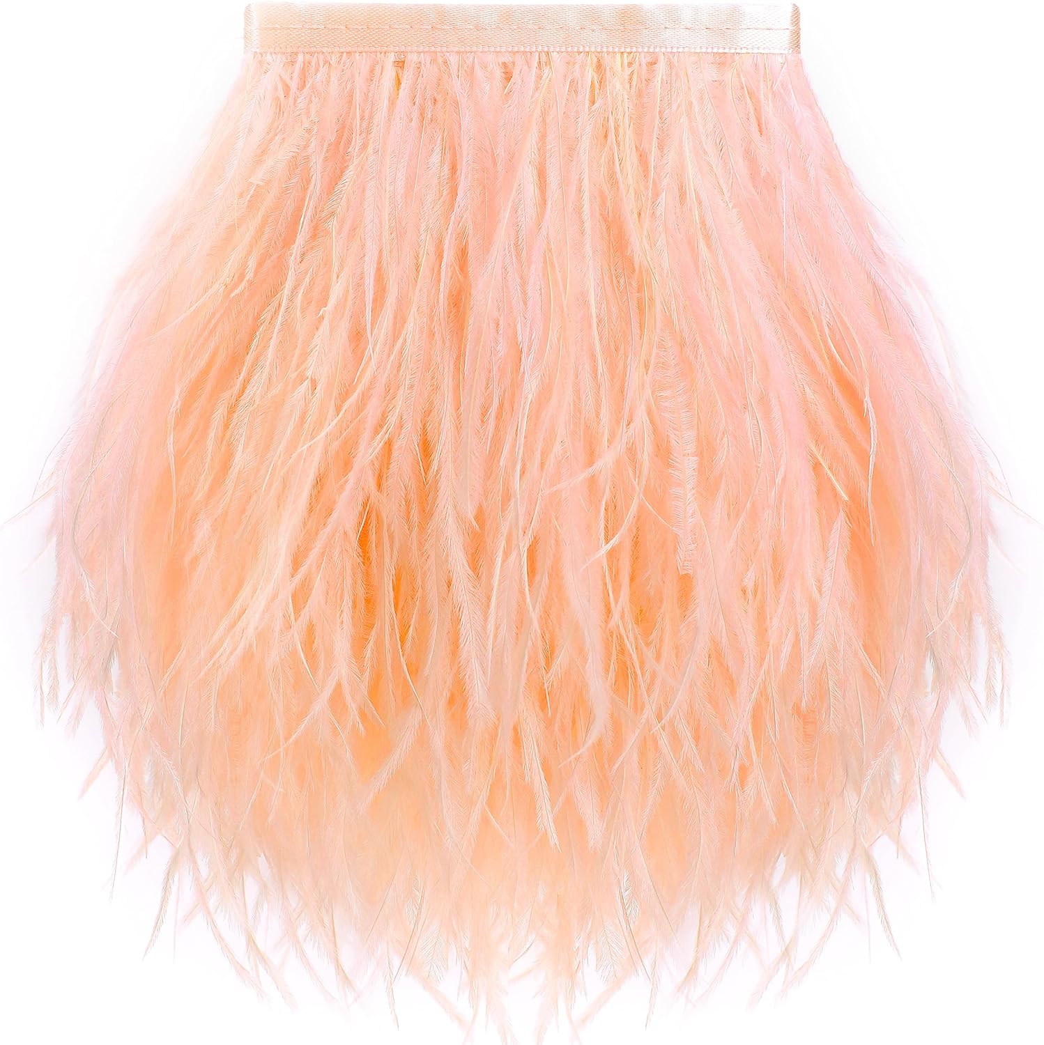Soarer Light Salmon Feather Trim - 2Yards 5-7inch Ostrich Feathers Fringe Trim for DIY Sewing Clothing,Latin,Wedding Home Party(Light Salmon)