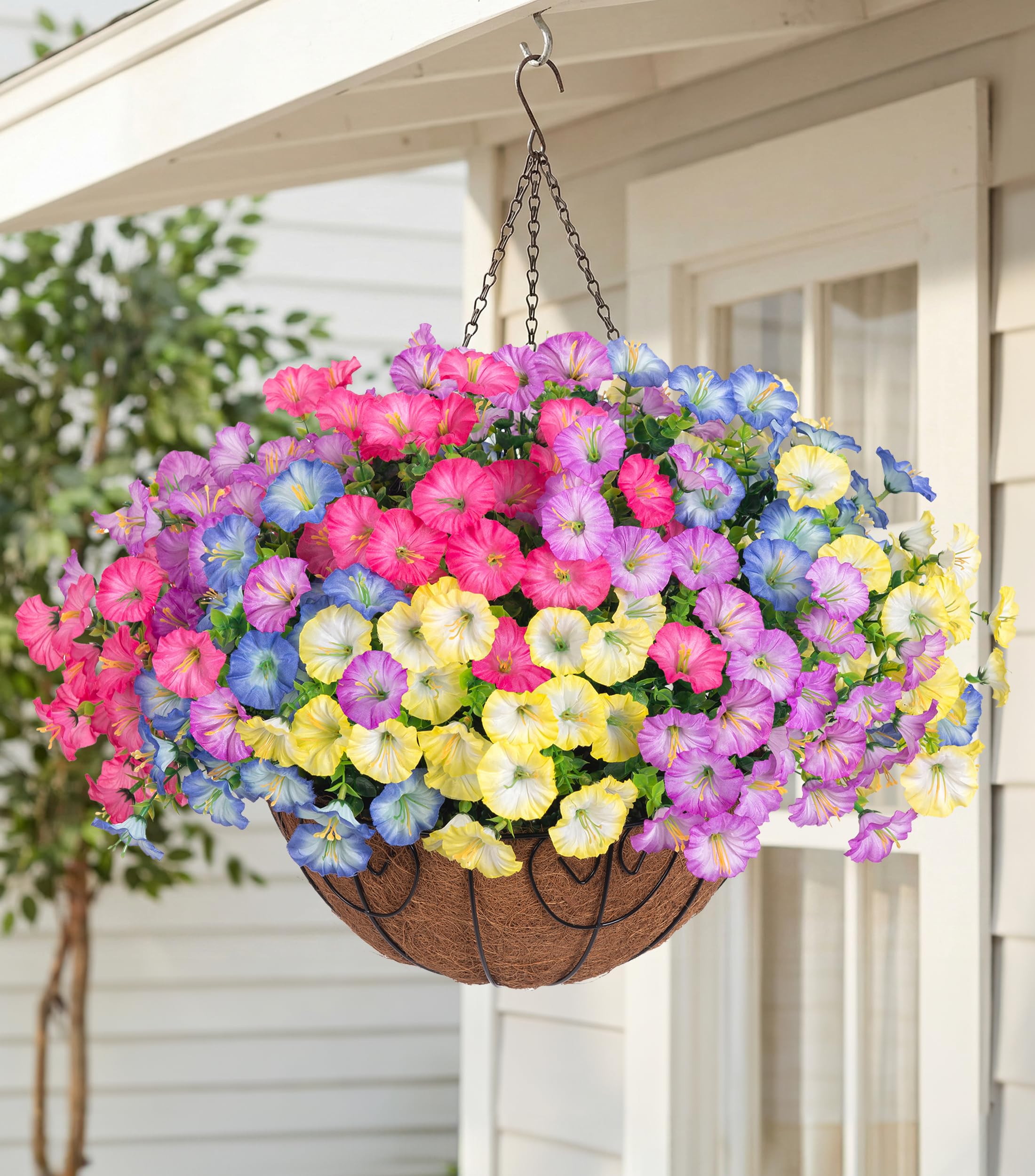 HyeFlora Petunia Basket