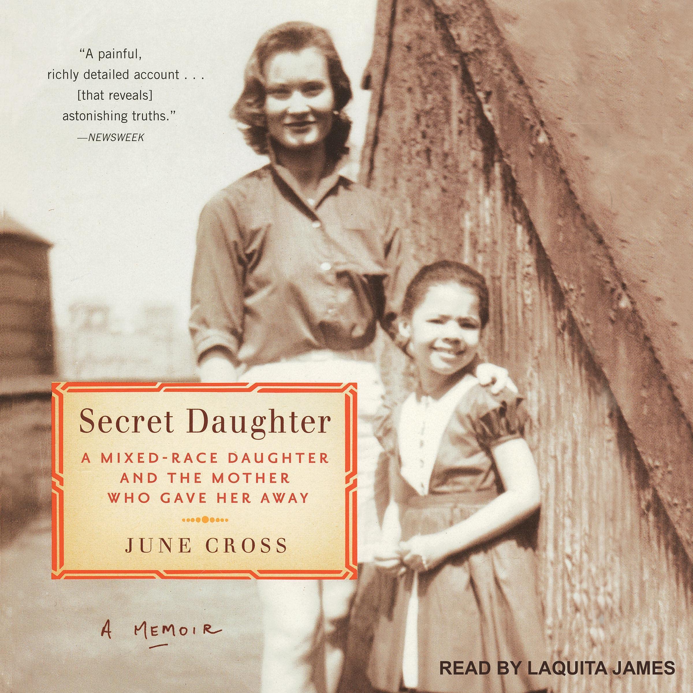 Cover art for Secret Daughter