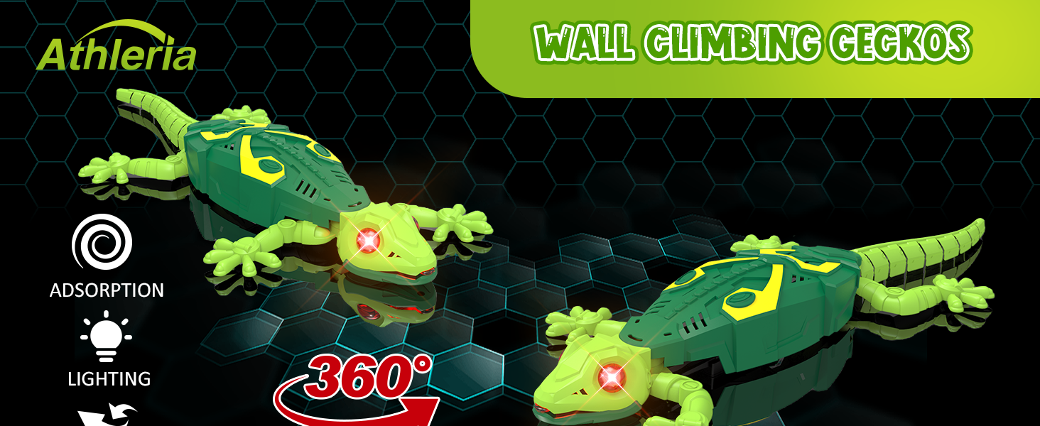 Wall