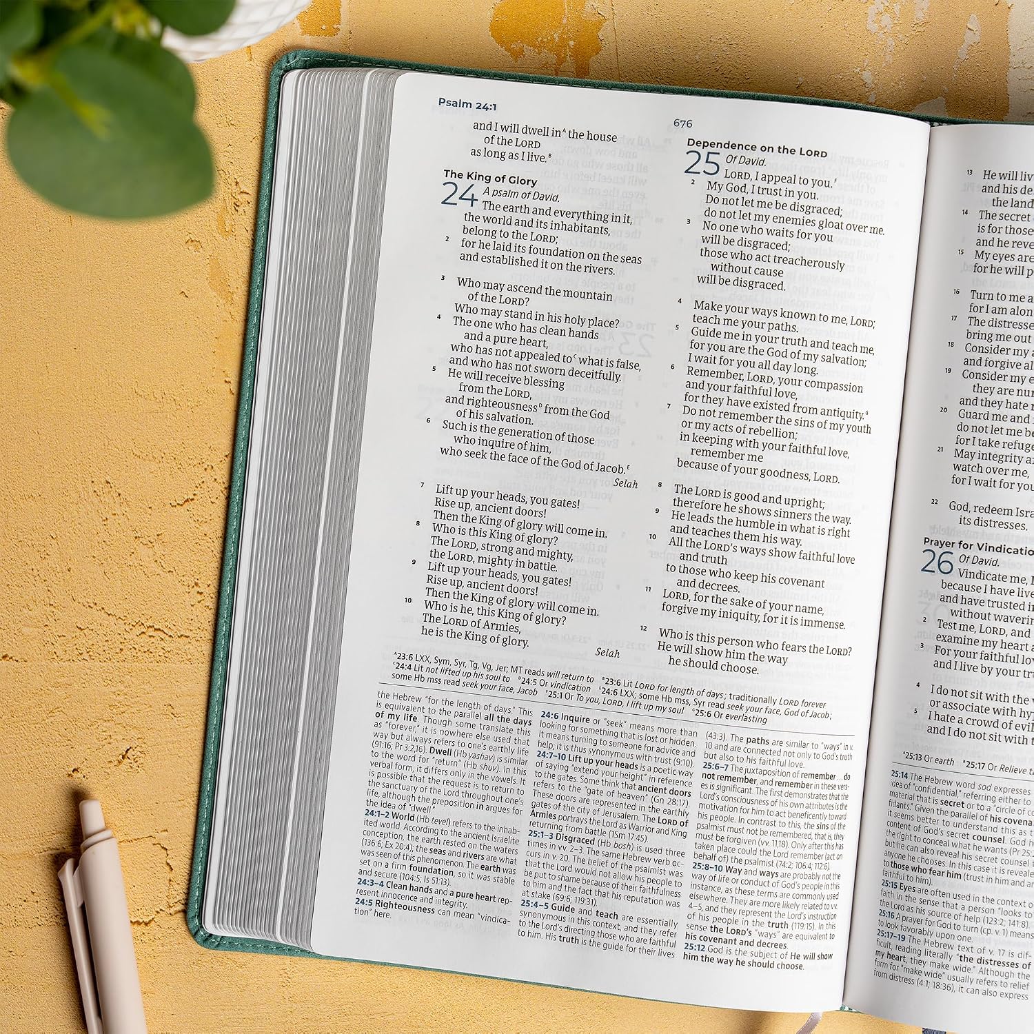CSB Student Study Bible, Earthen Teal SuedeSoft LeatherTouch, Red Letter, Presentation Page, Study Notes and Commentary, Articles, Character Profiles, Charts, Full-Color Maps, Easy-to-Read Type