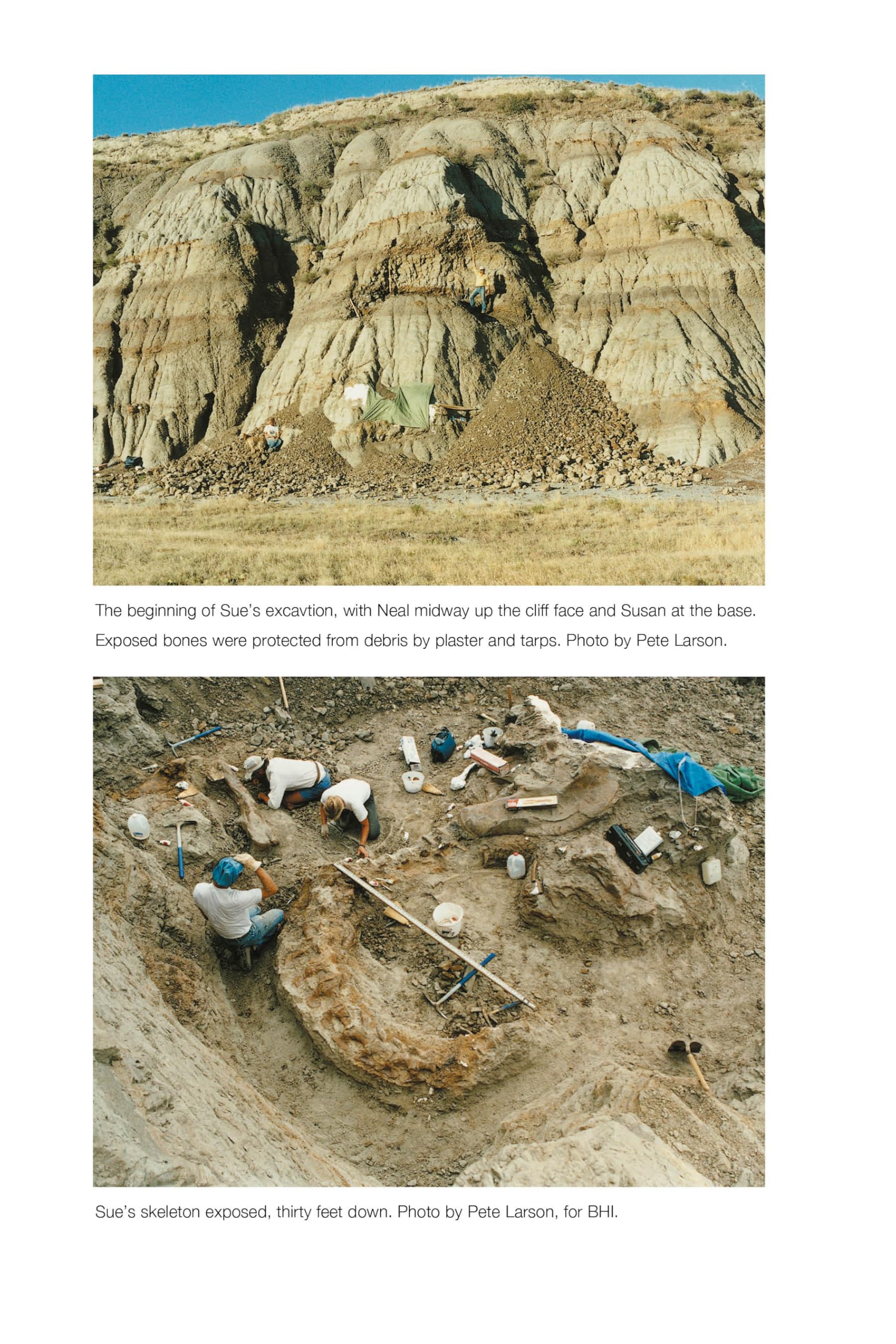 Rex Appeal: The Real Story and Legacy of the Most Famous T. Rexes on Earth (2)