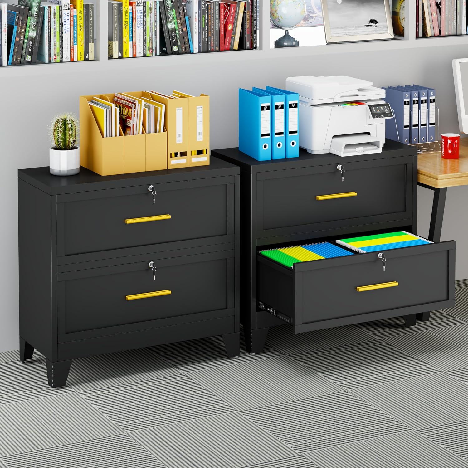 GAIOUS 2 Drawer File Cabinet with Lock, Metal Lateral Filing Storage Cabinet for Office Home, Steel Vertical File Cabinets for Letter A4 Size, Black Under Desk File Drawer, Assembly Required