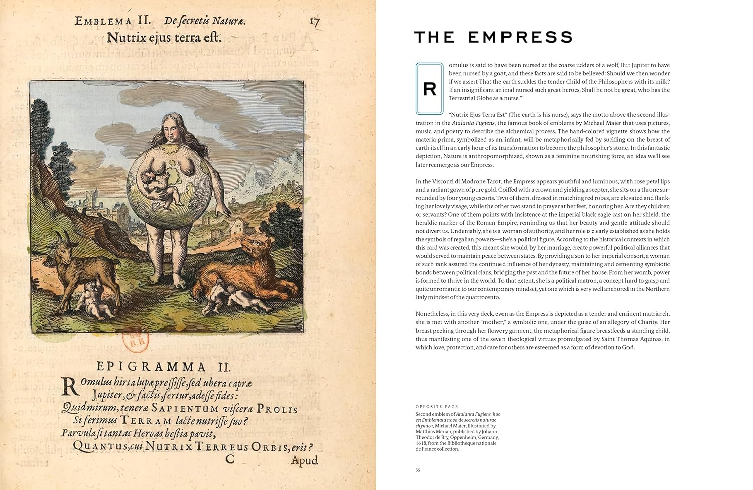 Tarot and Divination Cards: A Visual Archive      Hardcover – December 14, 2021