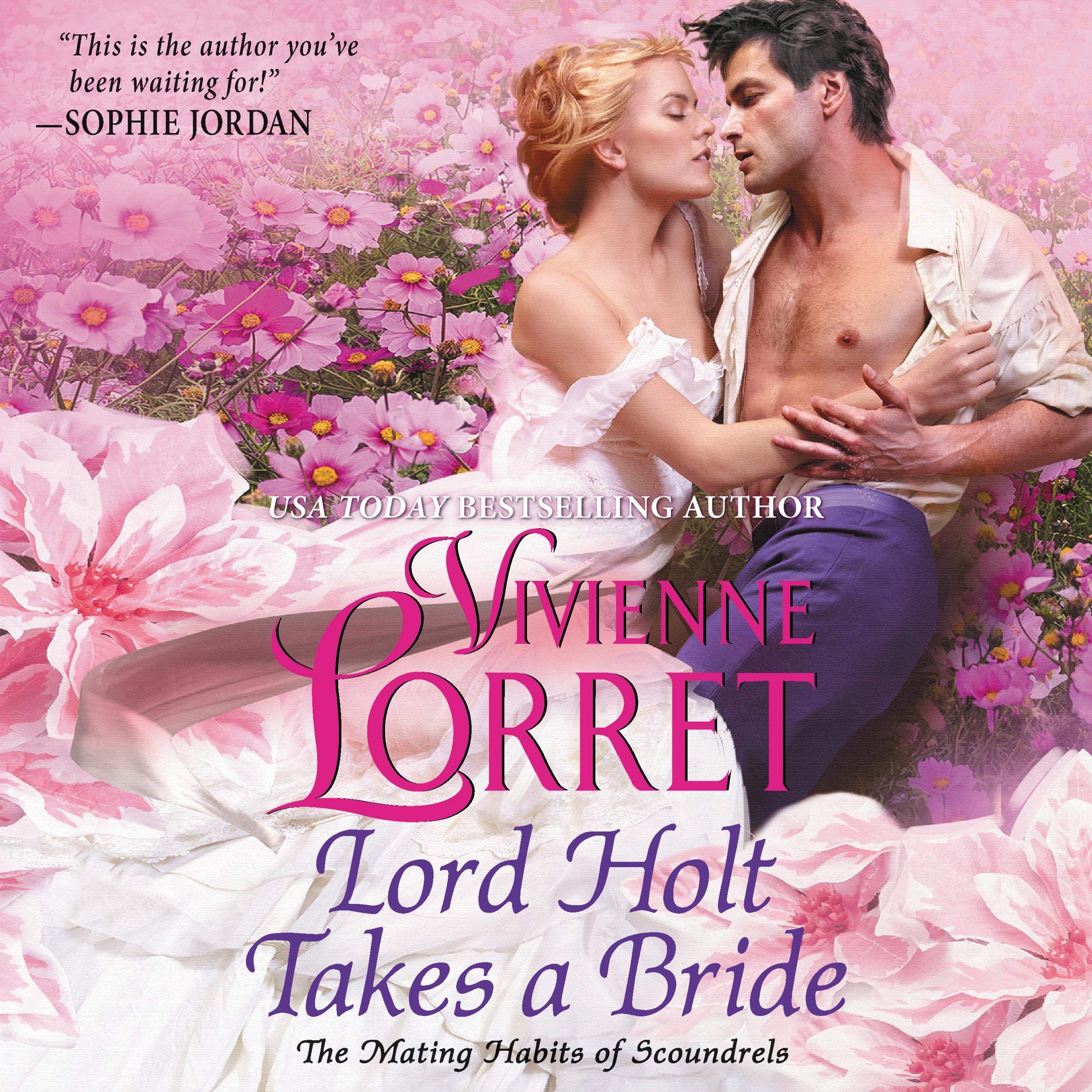 Cover art for Lord Holt Takes a Bride