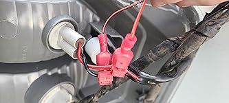 Review Image by Greg B. Greg B.