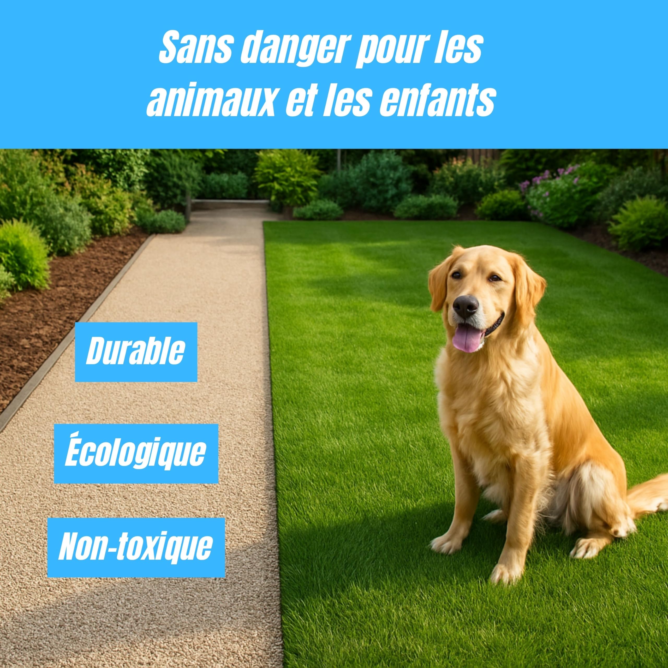 liant gravier extérieur 5 L – fixateur & stabilisateur de cailloux et paillis, écologique et non toxique