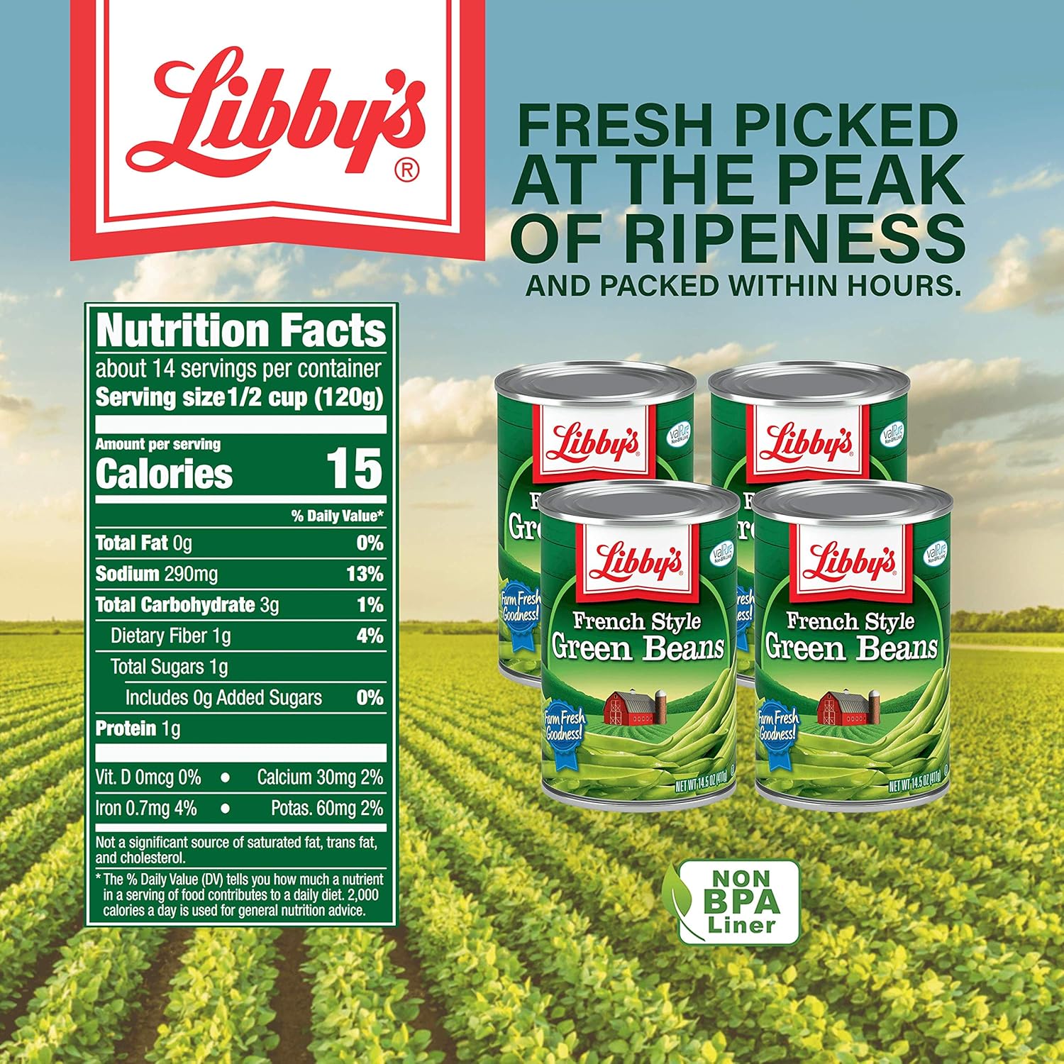 Libby's French Style Green Beans | Naturally Delicious, Mild & Subtly Sweet | Crisp-Tender Bite | Seasoned with Sea Salt | Grown & Made in USA | 14.5 ounce can (Pack of 4)