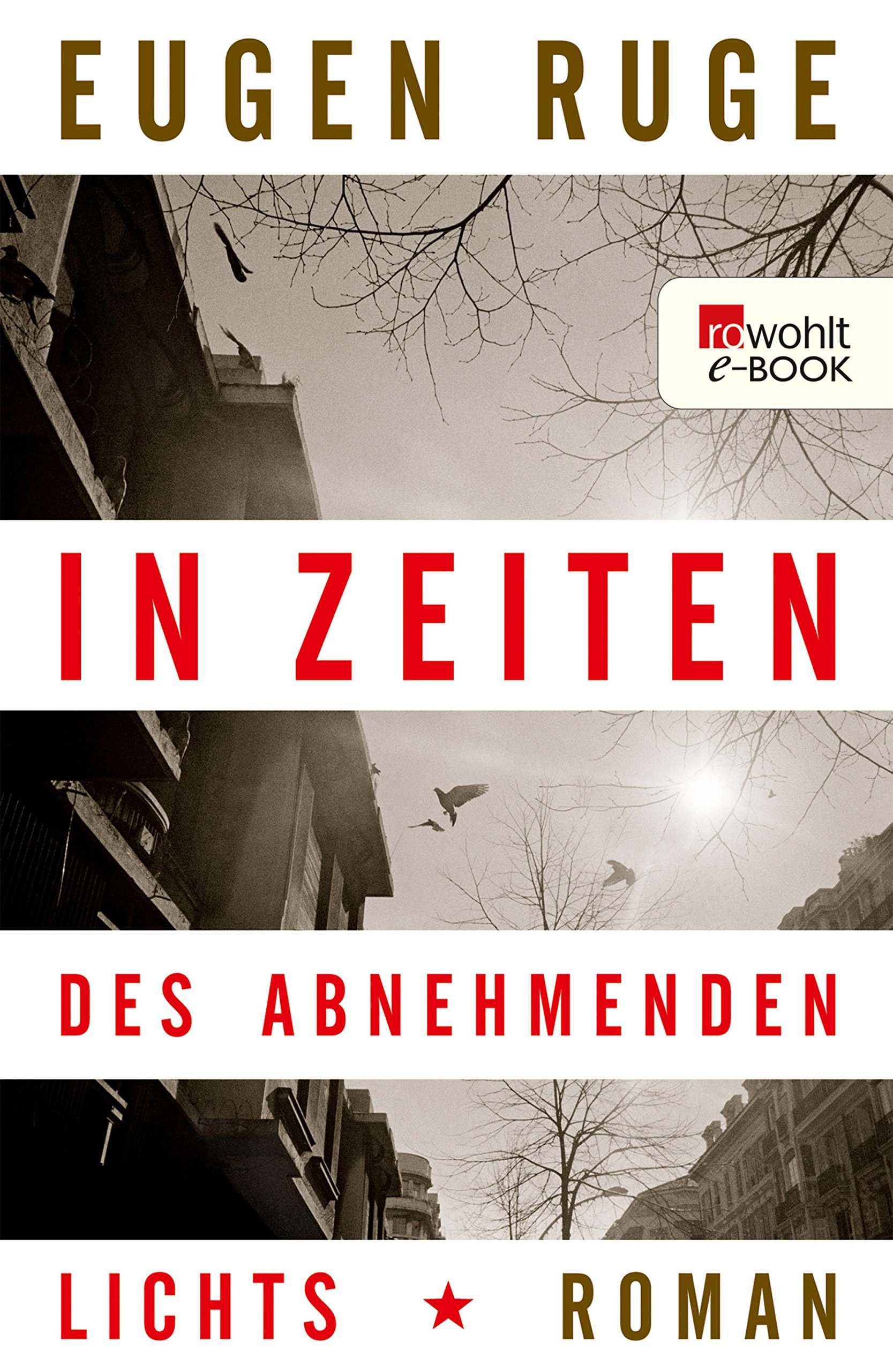 In Zeiten des abnehmenden Lichts: Roman einer Familie (German Edition)