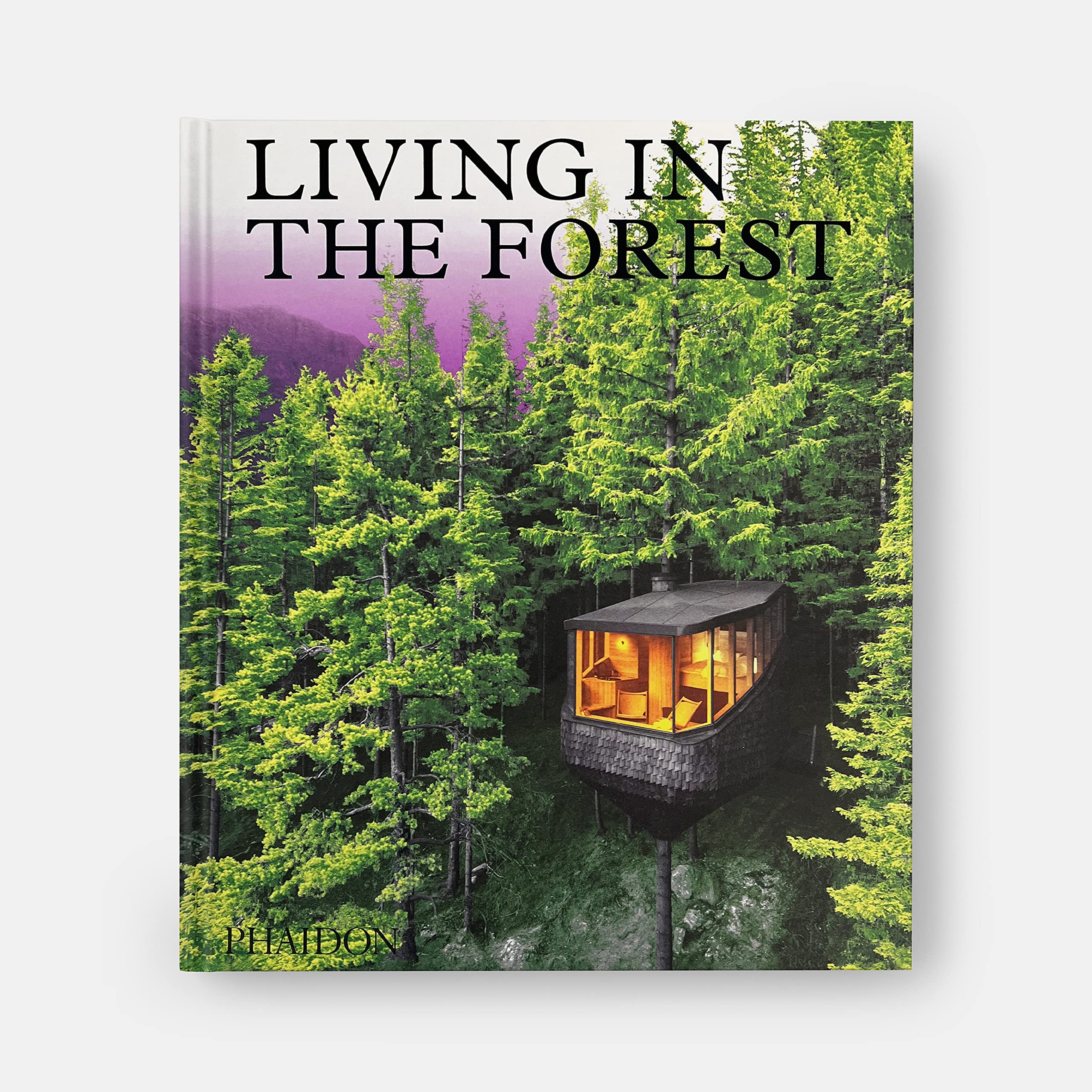 Living in the forest: Contemporary Houses in the Woods