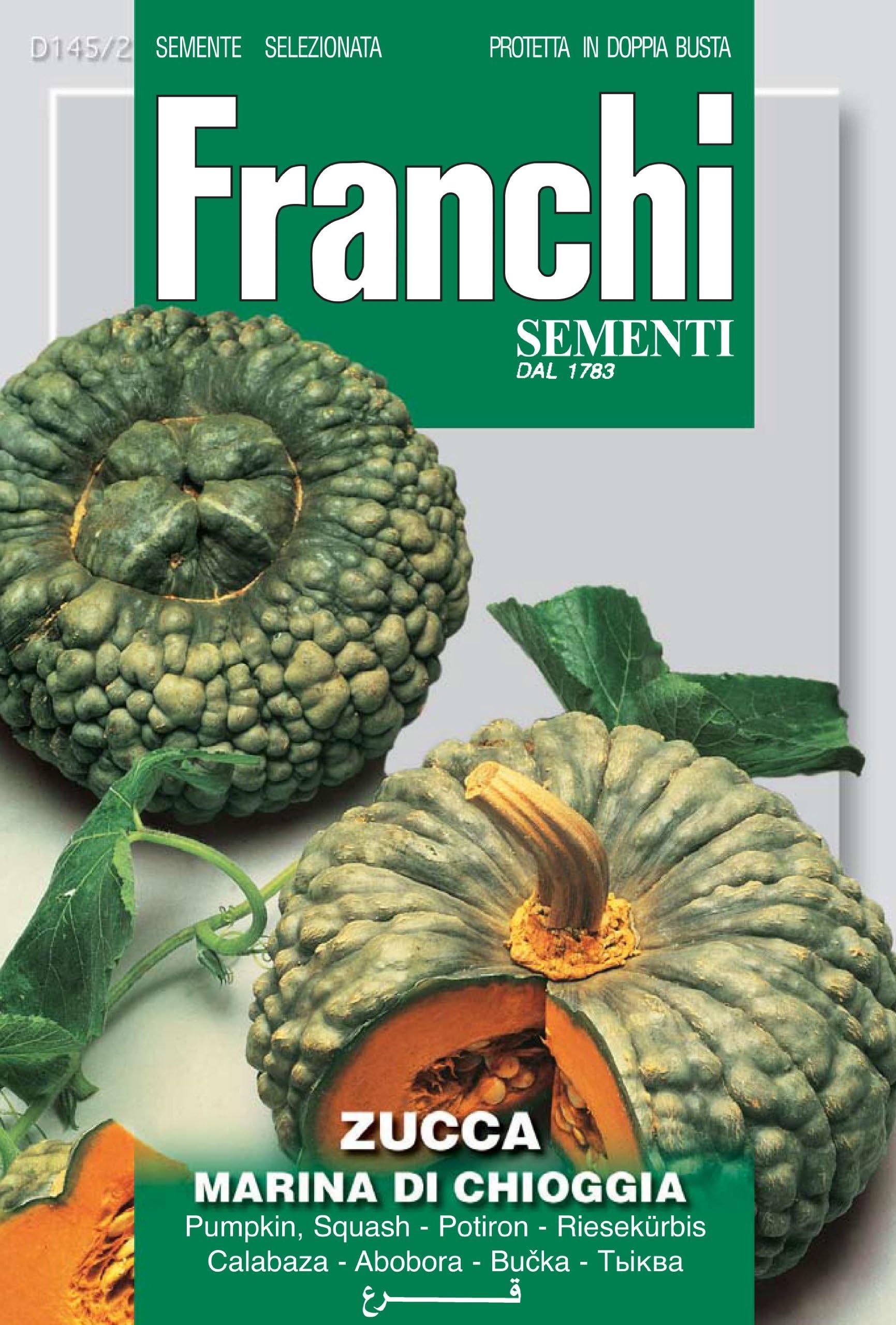 Franchi Pumpkin Marina Di Chioggia