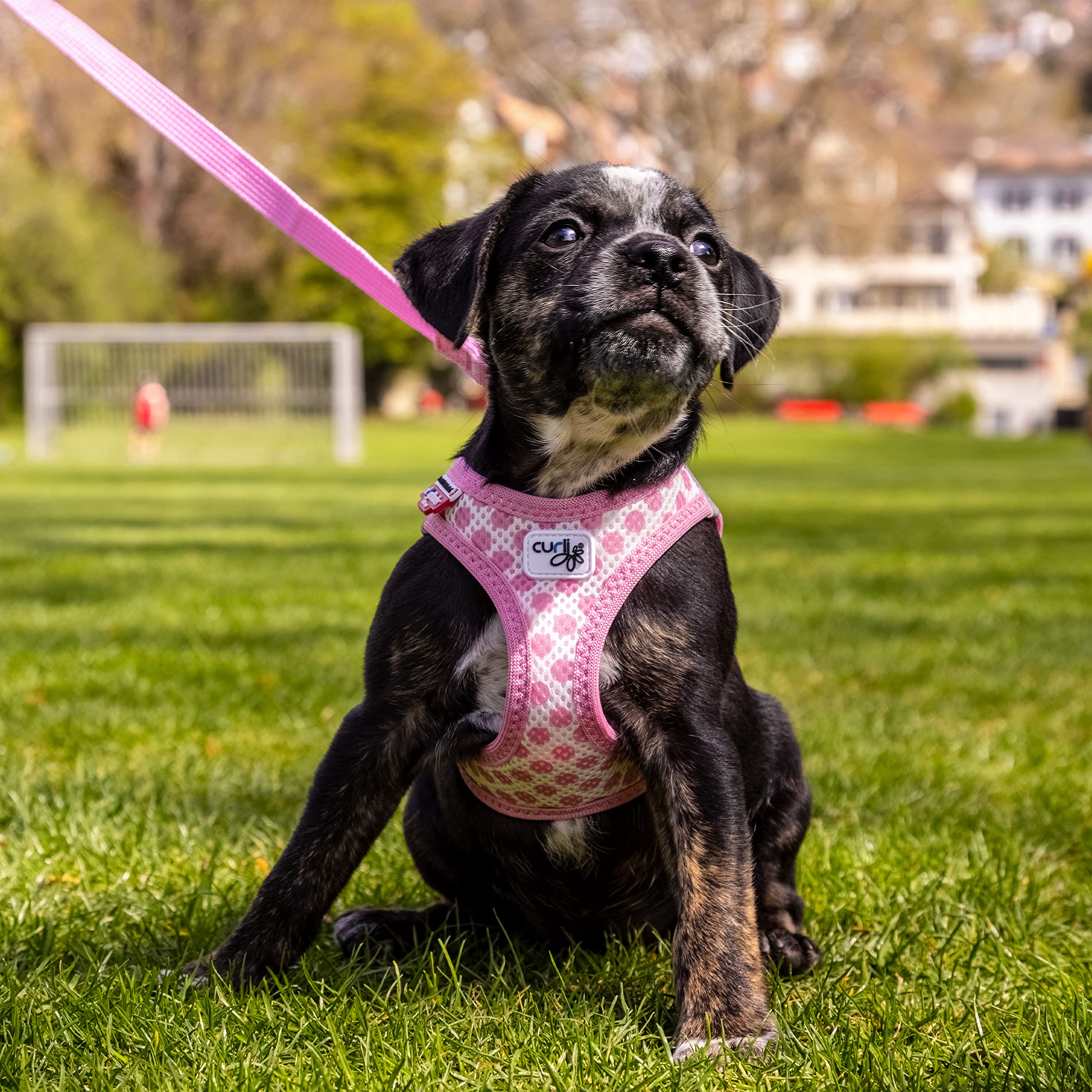 Vest Harness curli Clasp Air-Mesh Pink-Circles 2XS & Leash M - Image 2