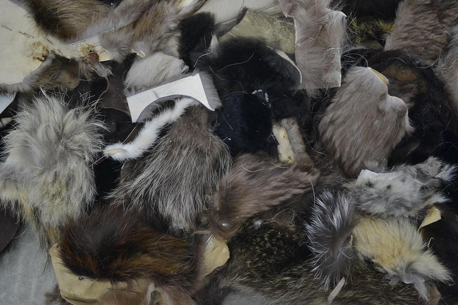 The Leather Guy - Real Fur Scrap - Mostly Beaver, Includes Coyote, Raccoon, Craft Pieces - 1lb Mixed Colors, Small