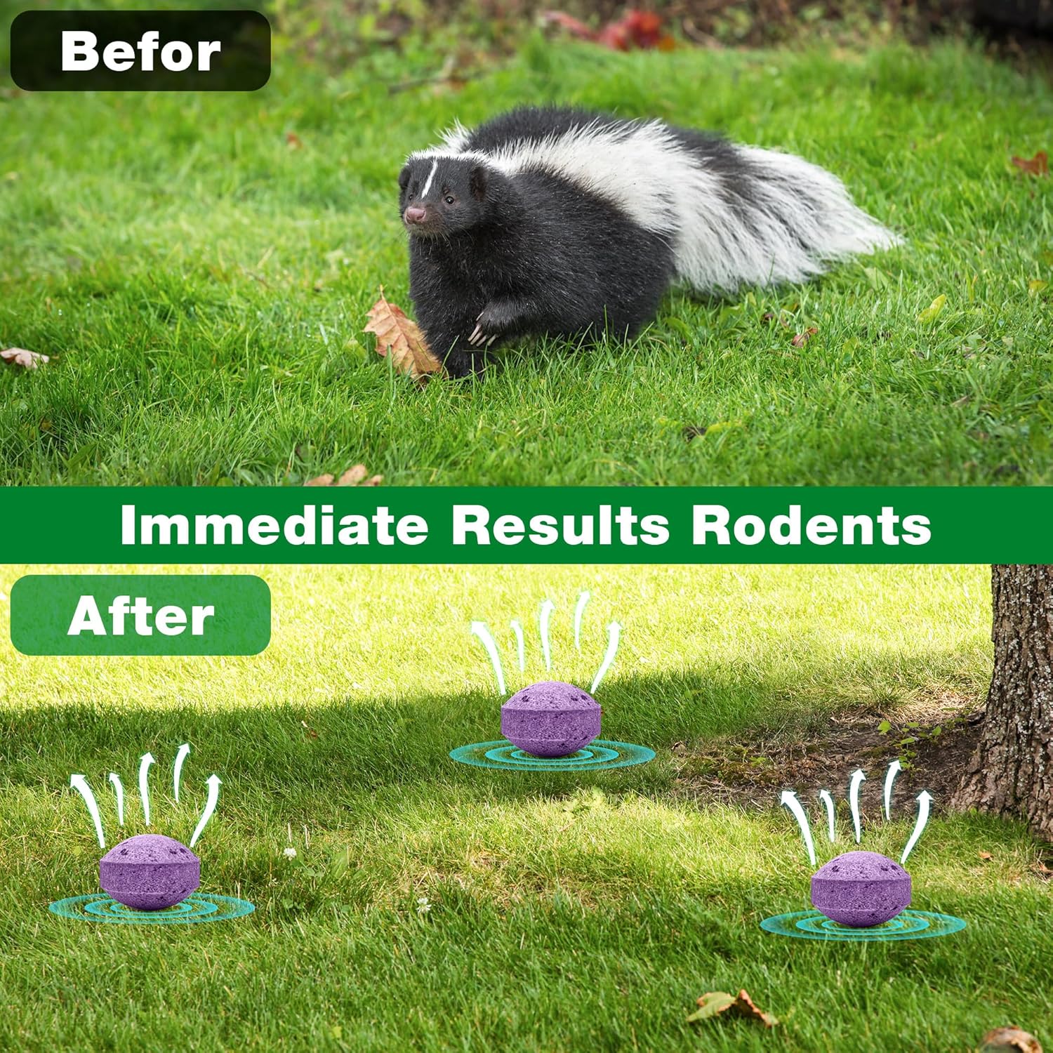 36 Pack Skunk Repellent - Mole Repellent Outdoor with Natural Peppermint Oil Long-Lasting Protection for Yard, Garden, Lawn & Trash Areas– Pet & Family Safe Animal Repeller
