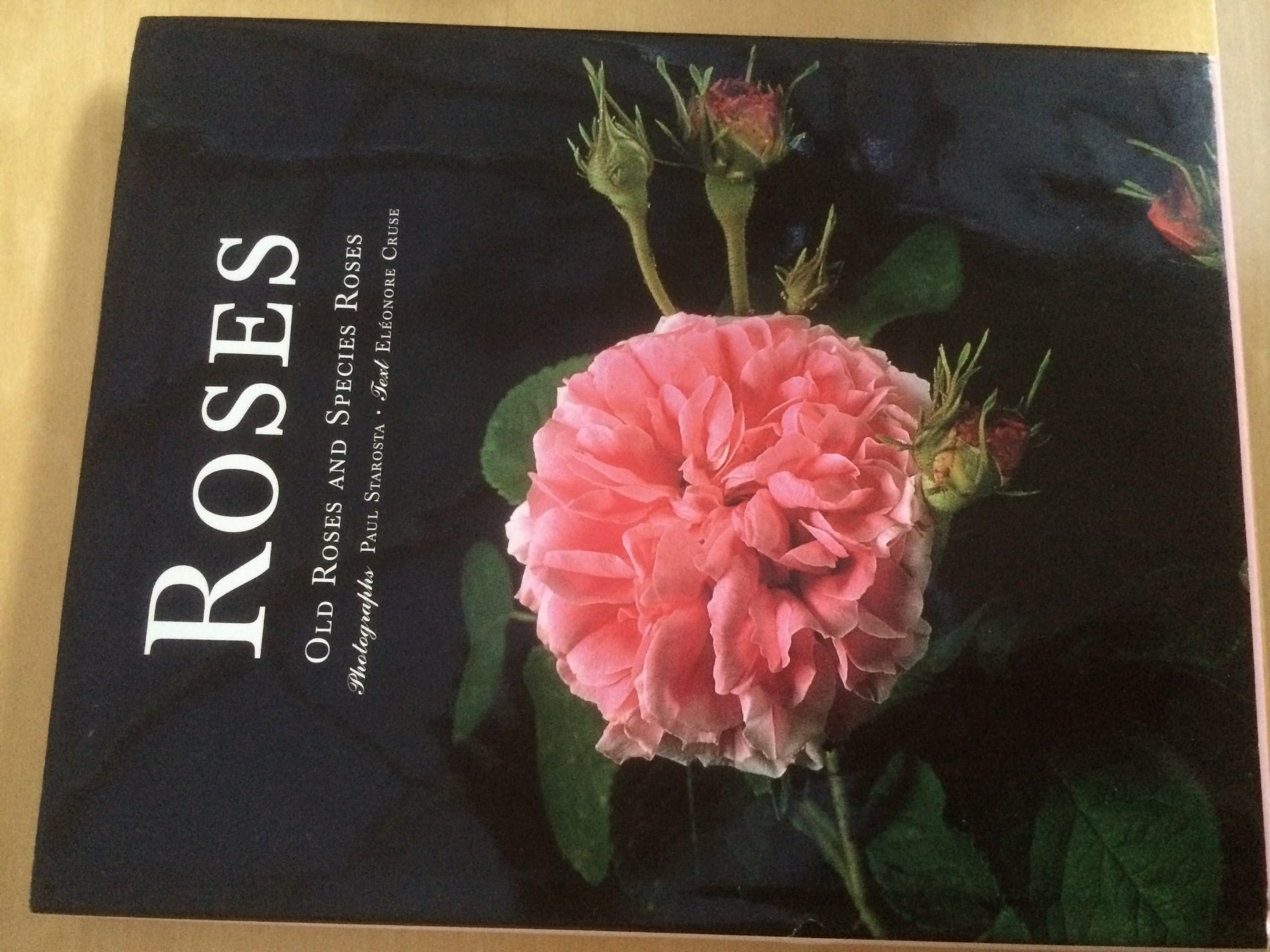 Roses: Old Roses and Species Roses