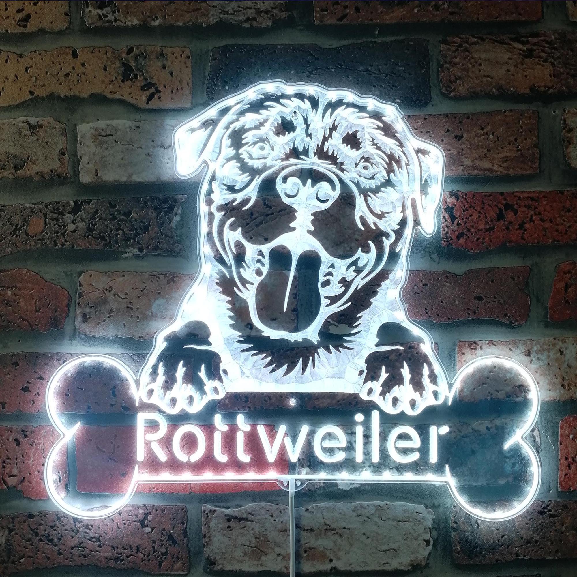 ADVPRO Name Personalize Rottweiler Dog RGB Dynamic Glam LED Sign - Cut-to-Edge Shape - Smart 3D Wall Decoration - Multicolor Dynamic Lighting - st06s22-fnd-p0076-tm