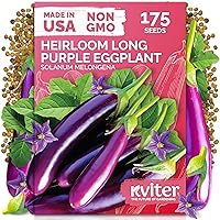 Vista 27 de KVITER 75 semillas de cucamelón para plantar (Melothria Scabra) – Semillas de pepinillo agrio mexicano, pepino de pepinillo, mini sandía mexicana