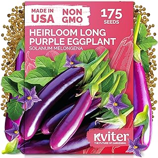 KVITER 175 Long Purple Eggplant Seeds (Solanum melongena) – Asian Eggplant, Dark Purple Italian Egg Plant Seed Packets – Heirloom Vegetable Seeds for Planting Outdoors & Indoor Garden, Containers Beds