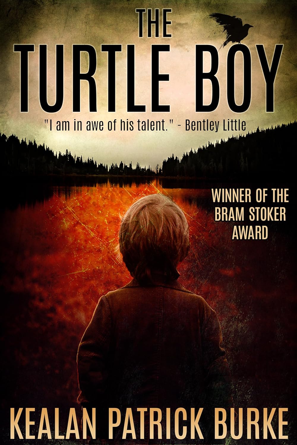 The Turtle Boy (The Timmy Quinn Series Book 1) eBook The Turtle Boy (The Timmy Quinn Series Book 1) eBook
