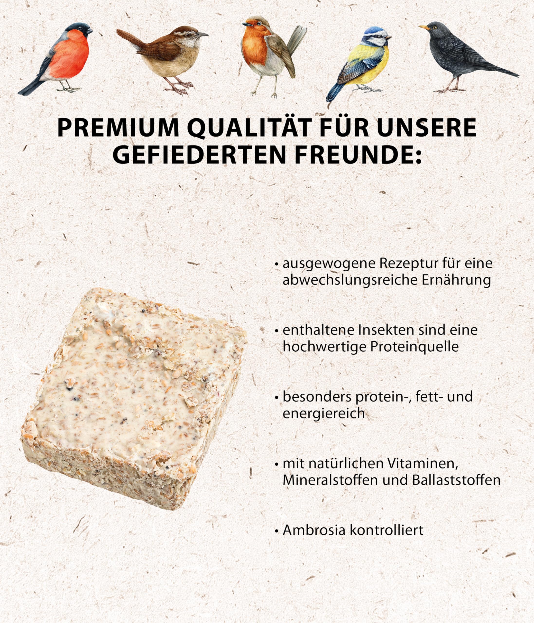 Dehner Natura Wildvogelfutter-Tafeln | Vogelfutter, Fettfutter mit Insekten | Ergänzungsfutter für Körner- und Weichfutterfresser | Ganzjahresfutter für Rotkehlchen, Blaumeise, Zaunkönig | 12 x 300 g