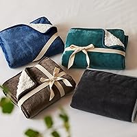 Vista 8 de Bedsure - Manta para gatos de interior, mantas impermeables y calmantes para protección del sofá y la cama, manta de lana y Sherpa para mascotas