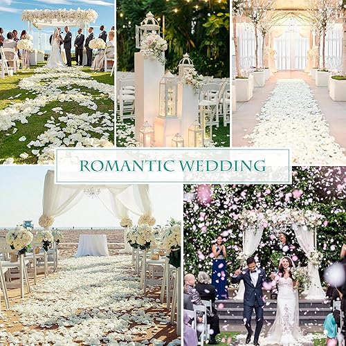 Miniatura 4 de Pétalos de rosa blancos reales secos, pétalos de flores preservados congelados de 1.75 onzas para regalos del día de San Valentín, decoración de