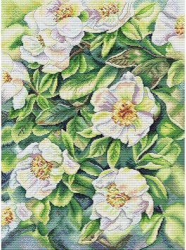 ITSTITCH Stamped Cross Stitch Kits - Full Set of Embroidery for Beginners or Adults,14 CT 2 Strands DIY White Rosehip Patterns Counted Arts Craft 4153 cm