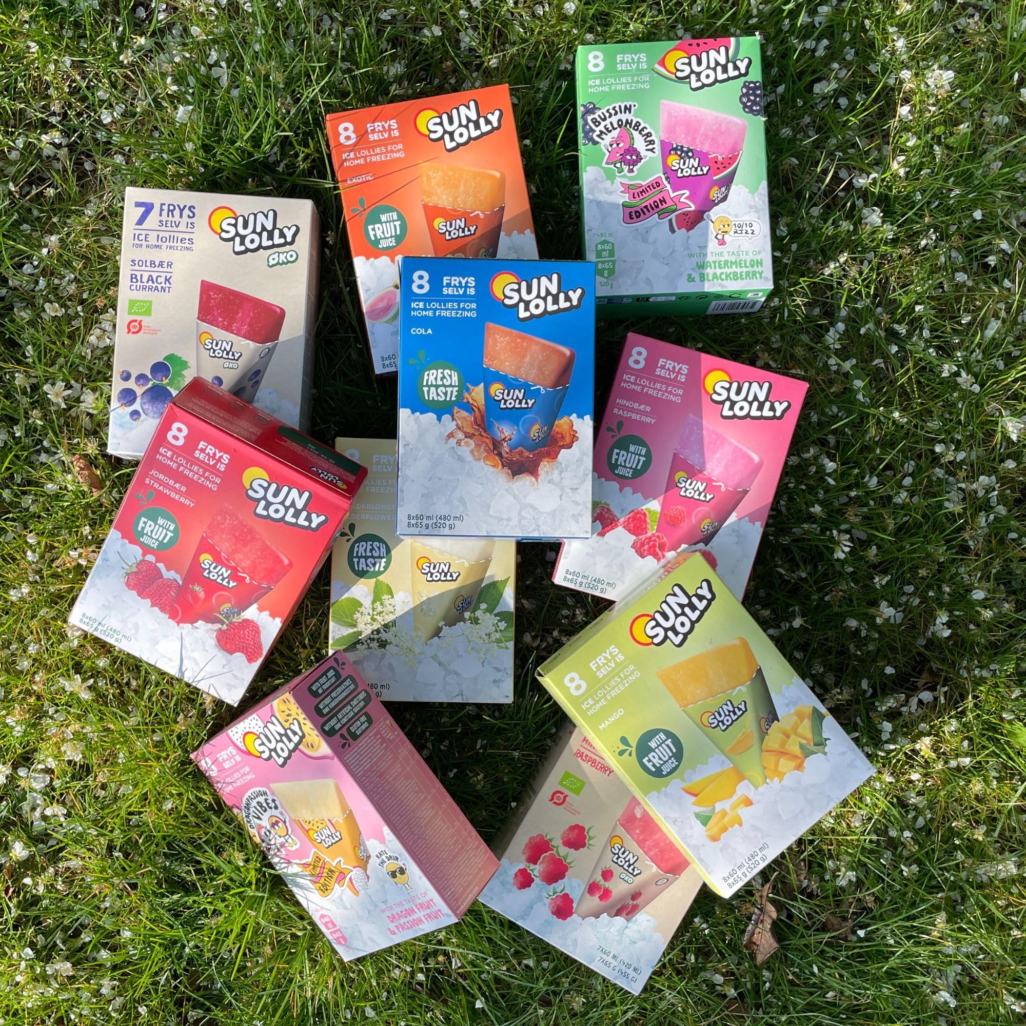 Sun Lolly Bio Wassereis Kirsche 7 Stk | Mit Fruchtsaft | Zum Selbsteinfrieren | Ohne künstliche Aromen | Frei von Süßungsmittel | Laktosefrei | Glutenfrei | Vegan | 7 x 60ml - 5