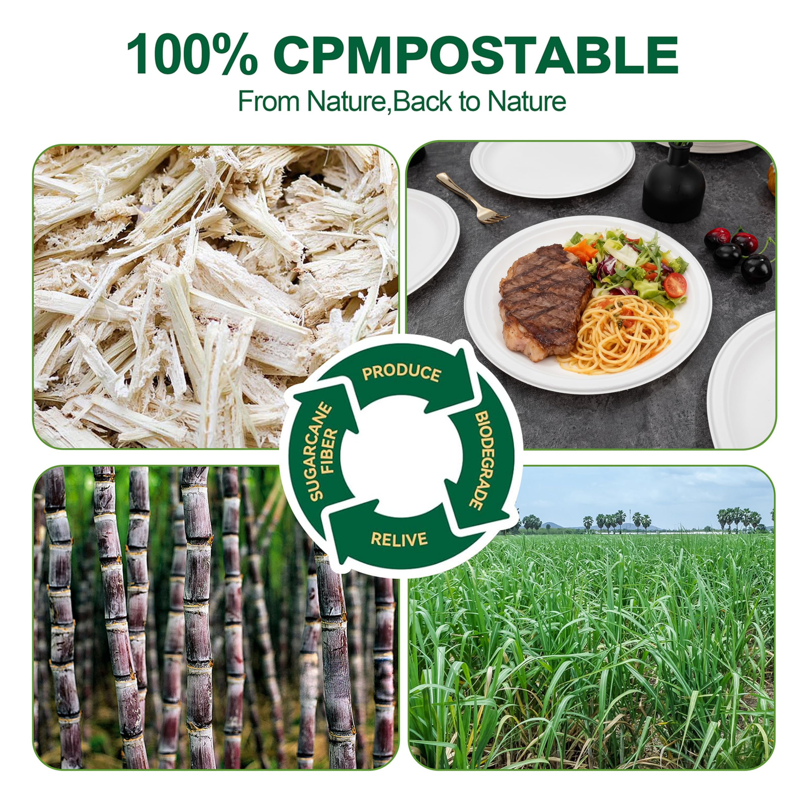 Compostable Paper Plates - 125 Pack -6