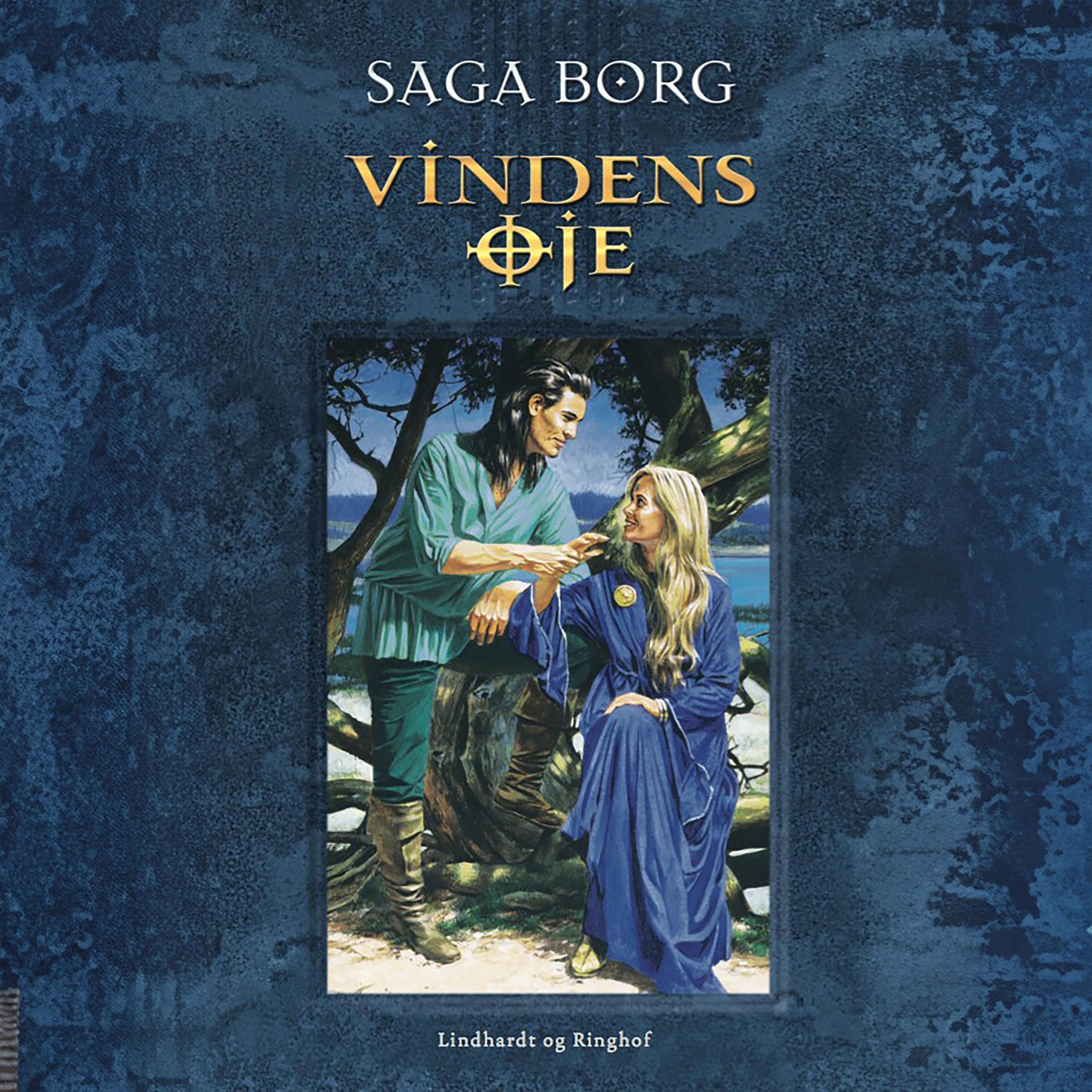 Cover art for Vindens øje