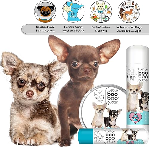 Miniatura 6 de The Blissful Dog 1 oz TIN Chihuahua Booboo Mantequilla