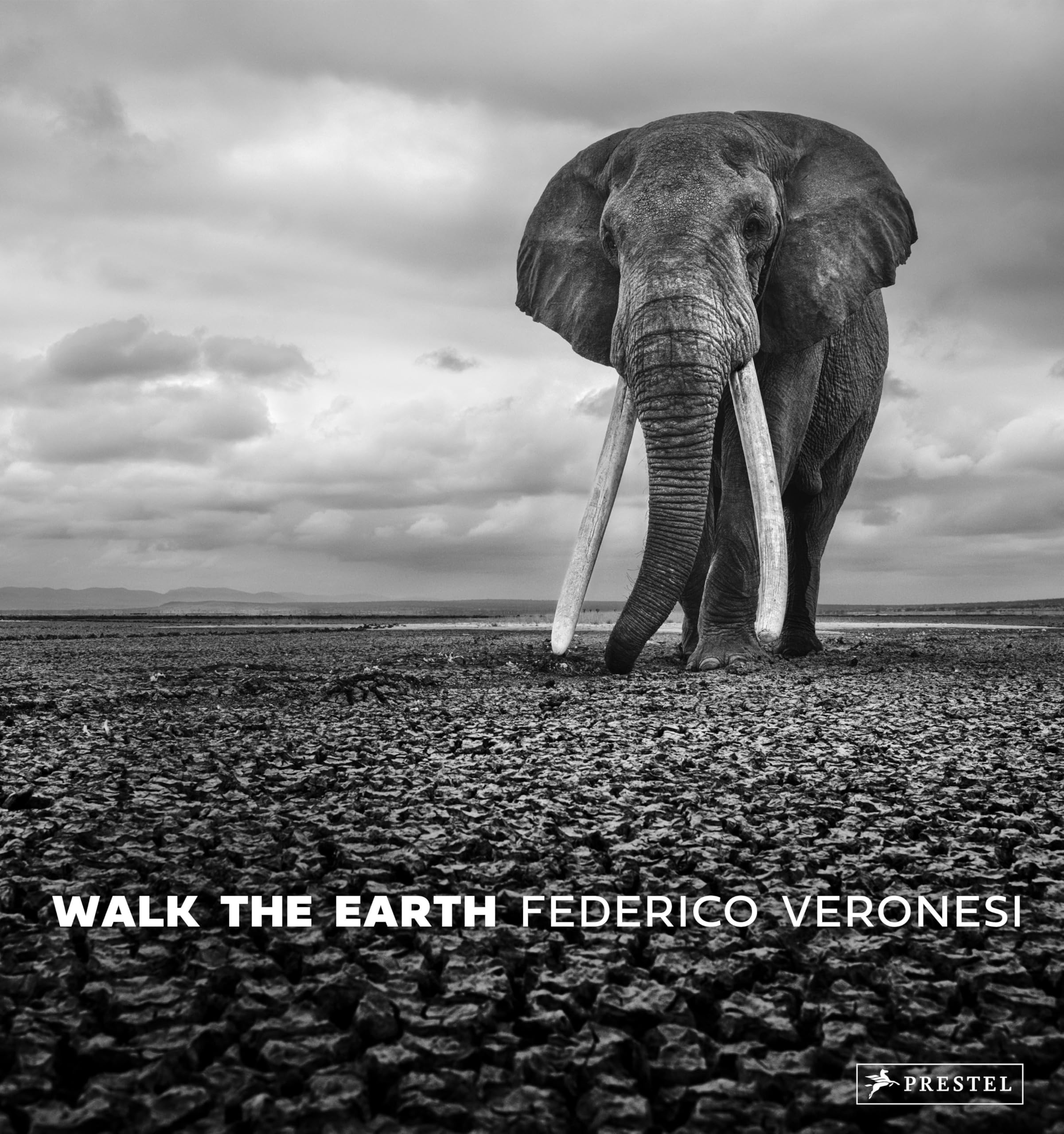 Walk the Earth: Federico Veronesi