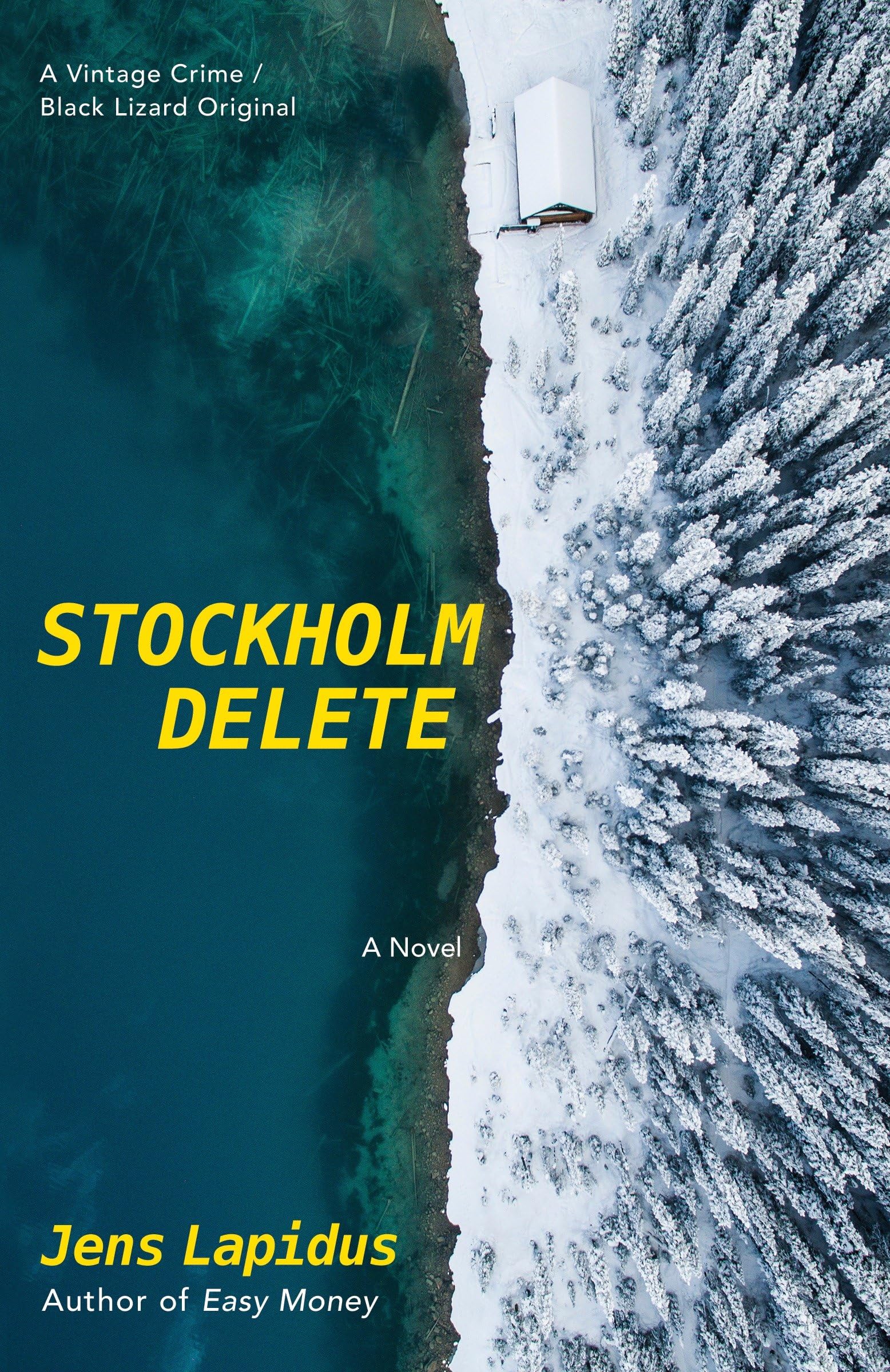 Buy Stockholm Delete — BookShops.in
