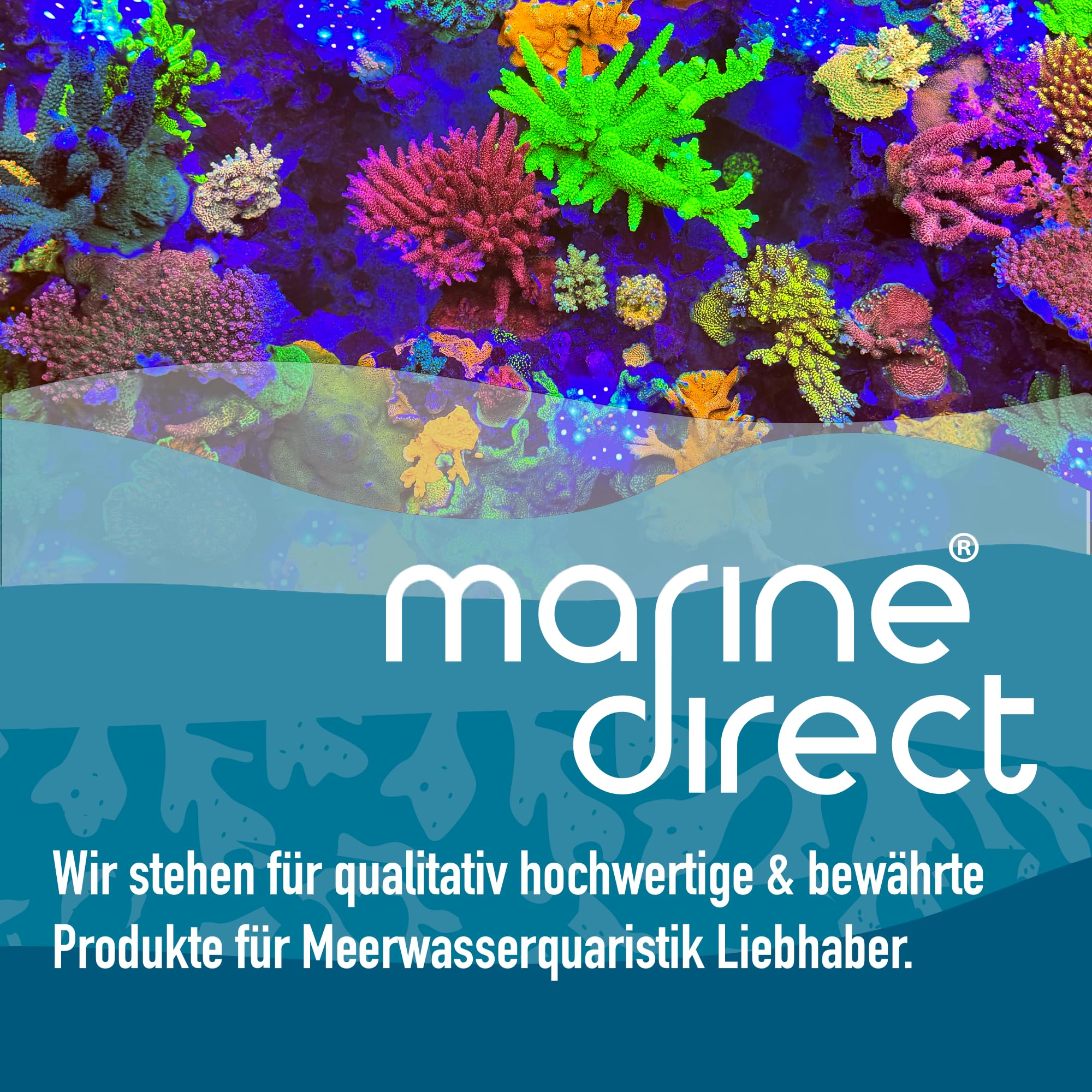 Titanheizstab 300W für Süß- & Meerwasser-Aquarien – Aquarium Heizung mit Saugnäpfen – Heizstab absolut unzerbrechlich & sicher im Betrieb – Made in Germany