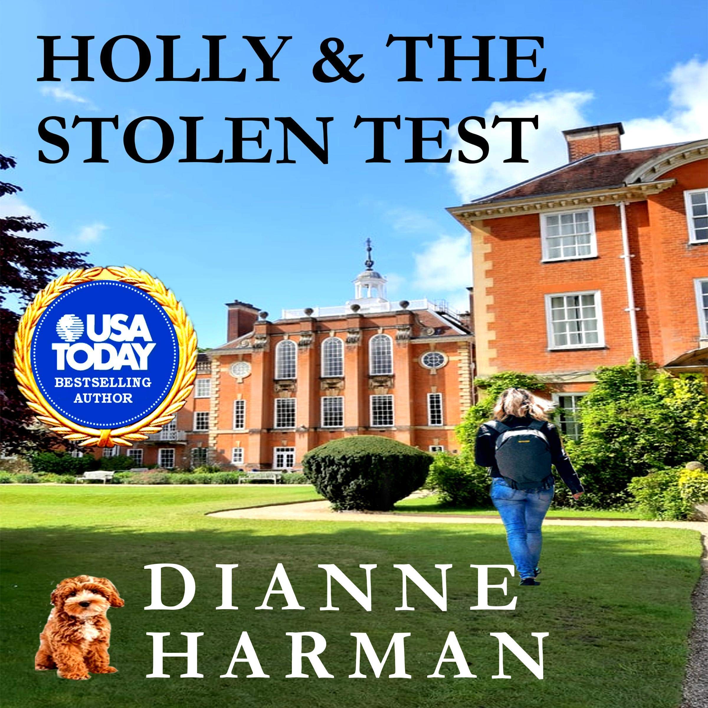 Cover art for Holly and the Stolen Test