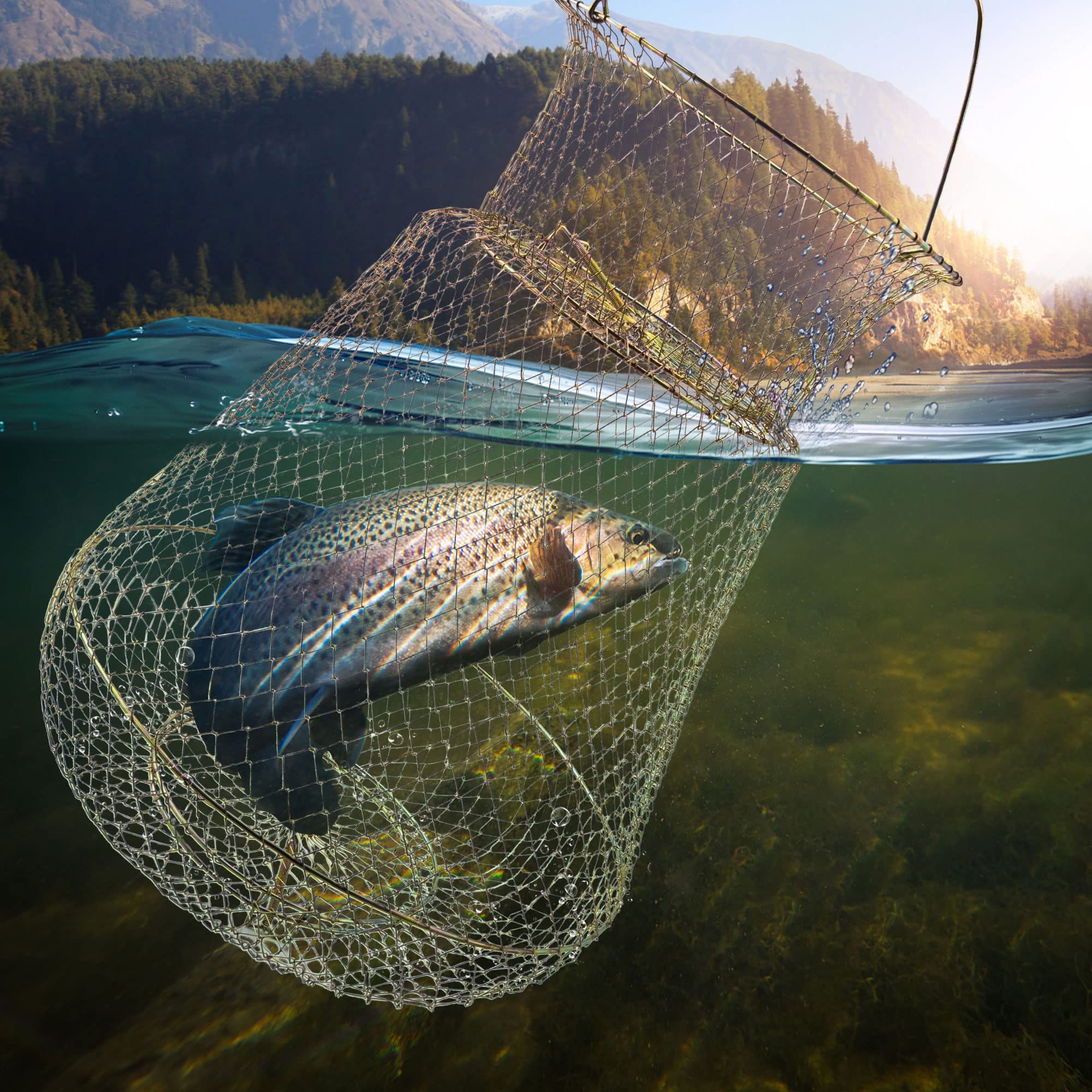 Panier à Poisson Pliable En Fil D'Acier Galvanisé – Compact, Portable, Pour La Pêche