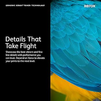 Amazon.com: Xerox Phaser 3610/ WorkCentre 3615 Black Extra