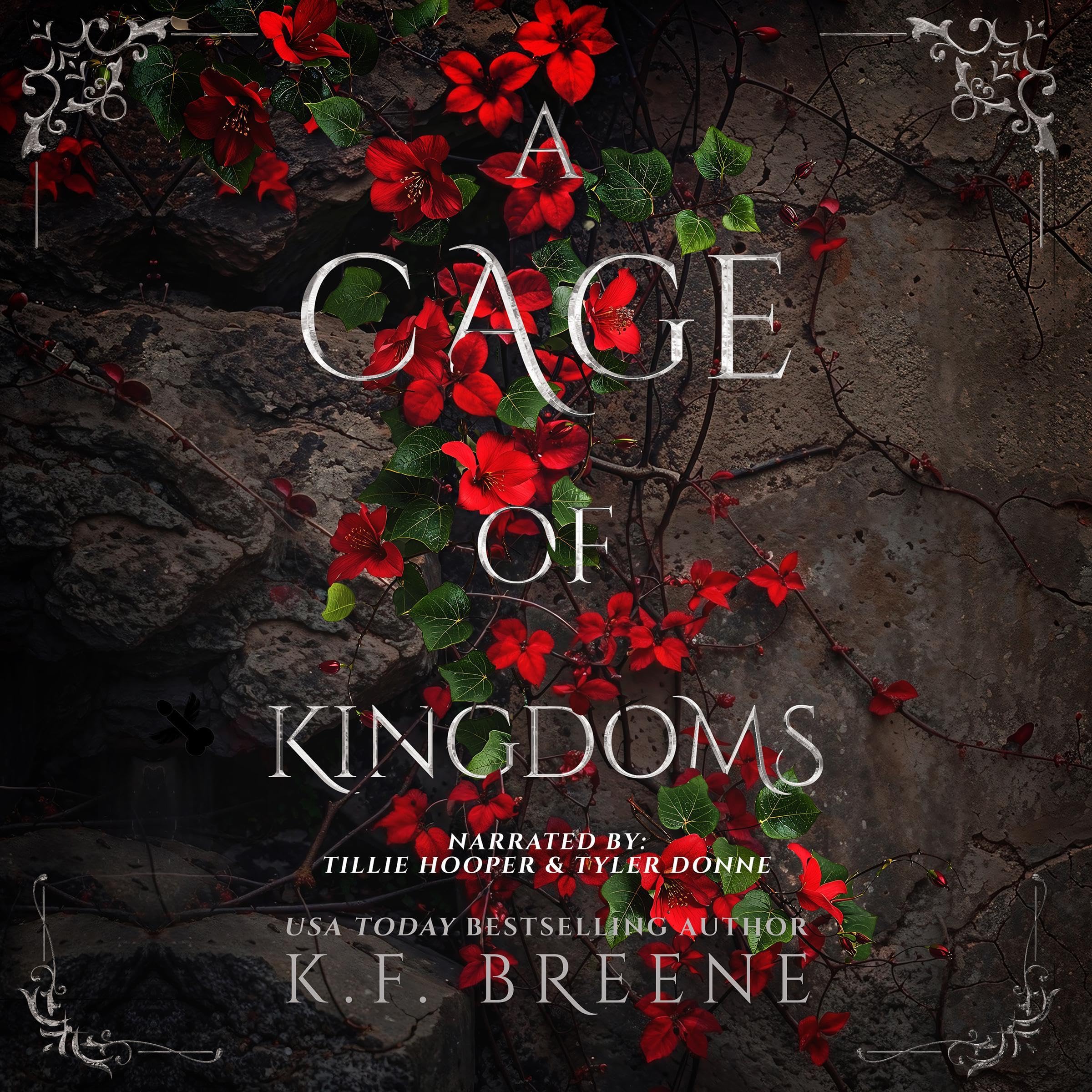 Cover art for A Cage of Kingdoms