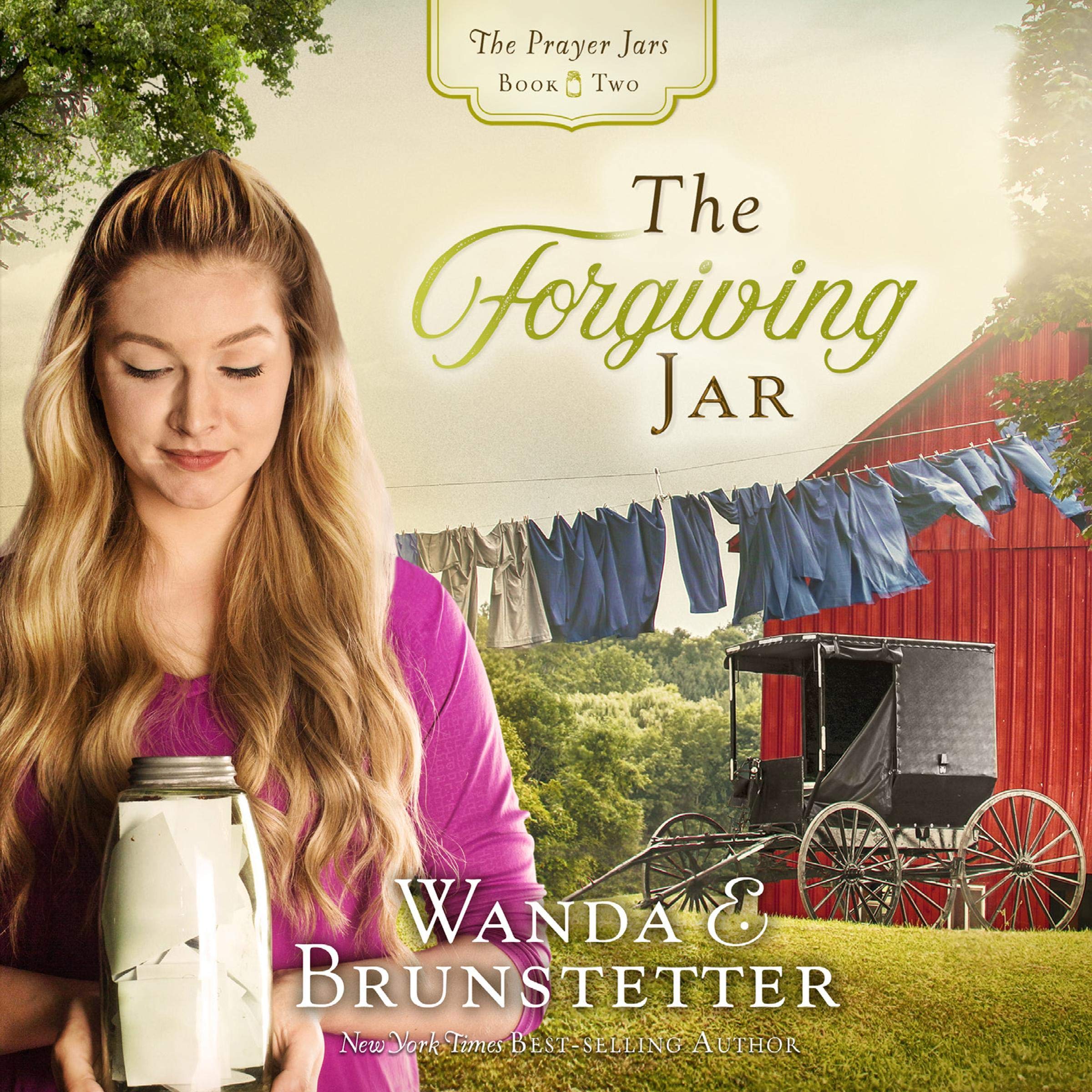 Cover art for The Forgiving Jar
