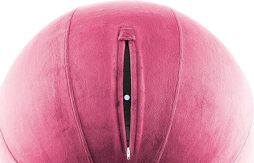 Miniatura 6 de Husband Pillow Pelota de ejercicio, cubierta con bomba para yoga, pilates, estabilidad de equilibrio de fitness, asiento de silla de pelota de