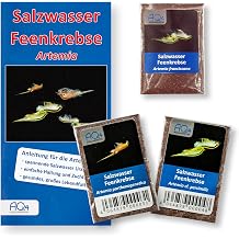 Artemia Saltwater Fairy Crabs Prehistoric Crab Eggs Set of 3