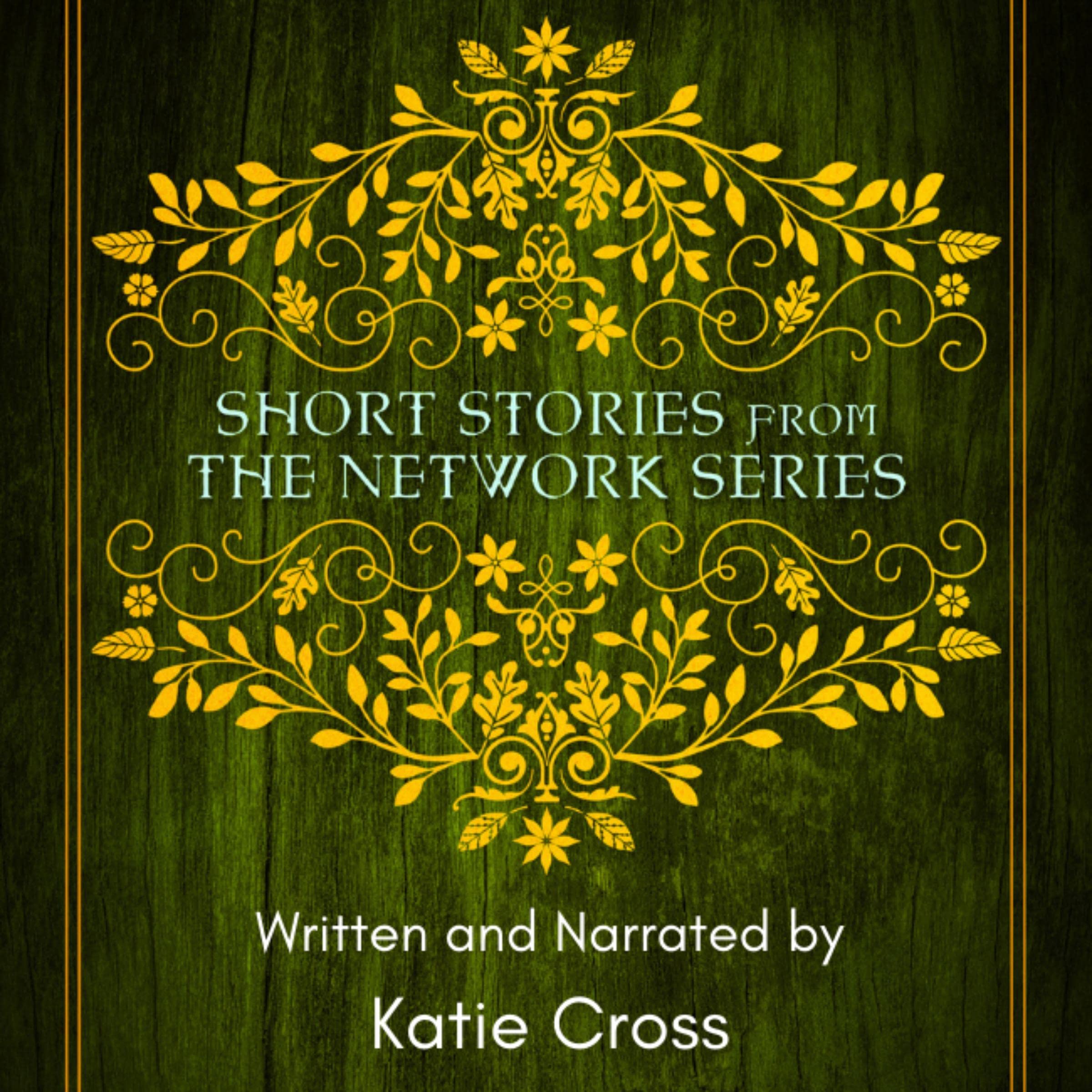 Cover art for Short Stories from The Network Series