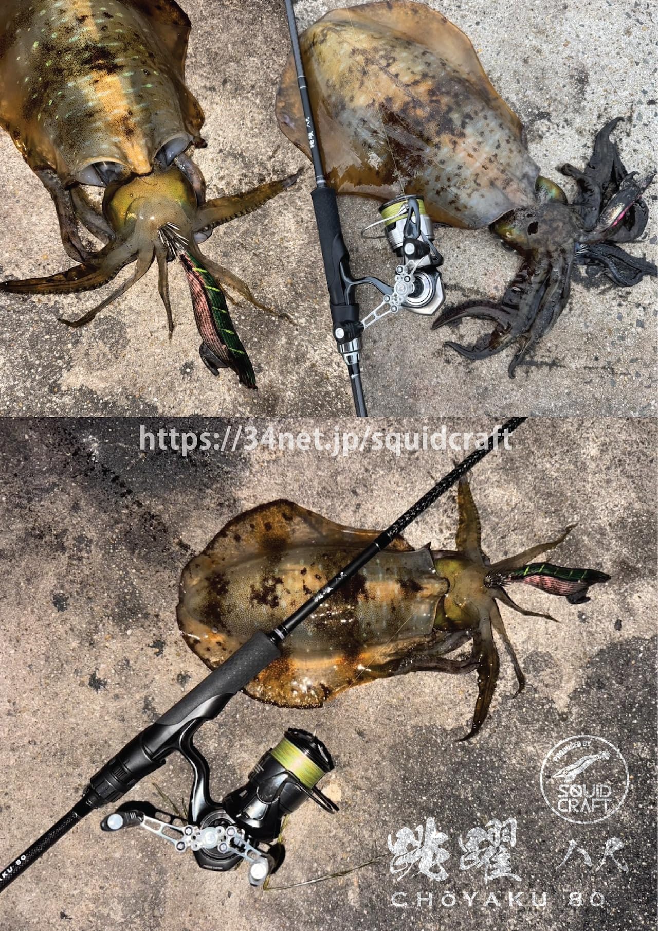 Amazon | 34 SQUID CRAFT スクイッドクラフト 跳躍 八尺 CHOYAKU